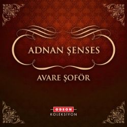 Adnan Şenses Avare Şöför