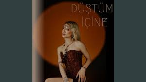 Anse Düştüm İçine