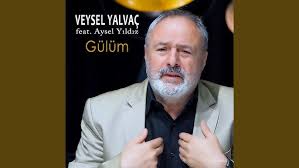Aysel Yıldız Gülüm