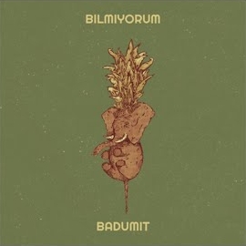 Badumit Bilmiyorum
