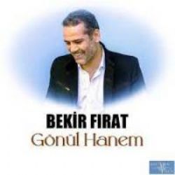 Bekir Fırat Gidiyorum