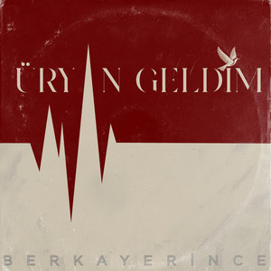 Berkay Erince Üryan Geldim