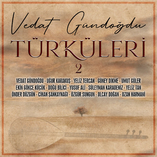 Çeşitli Sanatçılar Vedat Gündoğdu Türküleri Vol 2
