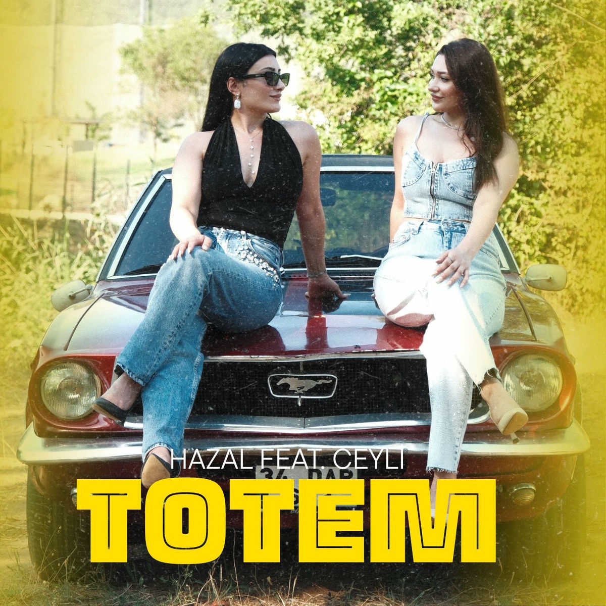Ceyli Totem