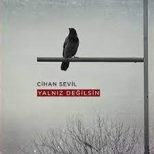 Cihan Sevil Yalnız Değilsin