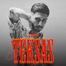 DZO Teksas