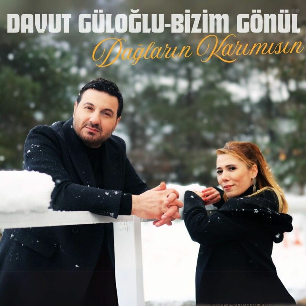 Davut Güloğlu Dağların Karımısın