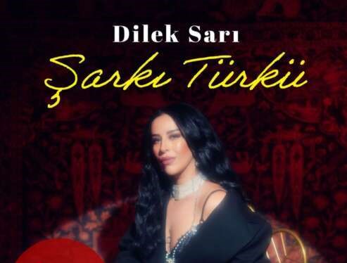 Dilek Sarı Şarkı Türkü