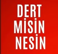 Elif Özay Dertmisin Nesin