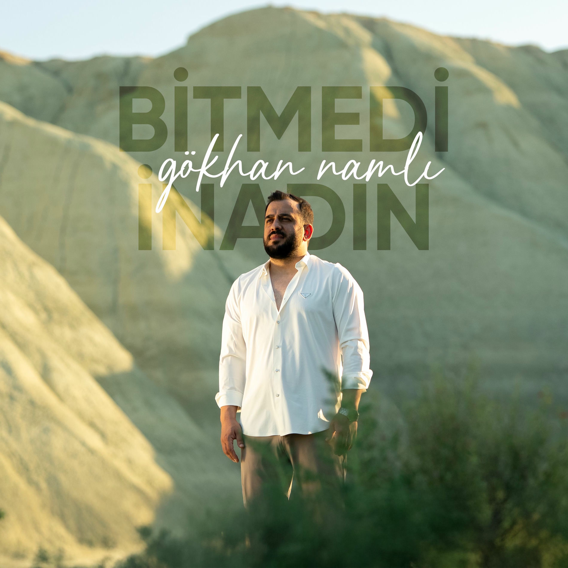 Gökhan Namlı Bitmedi İnadın