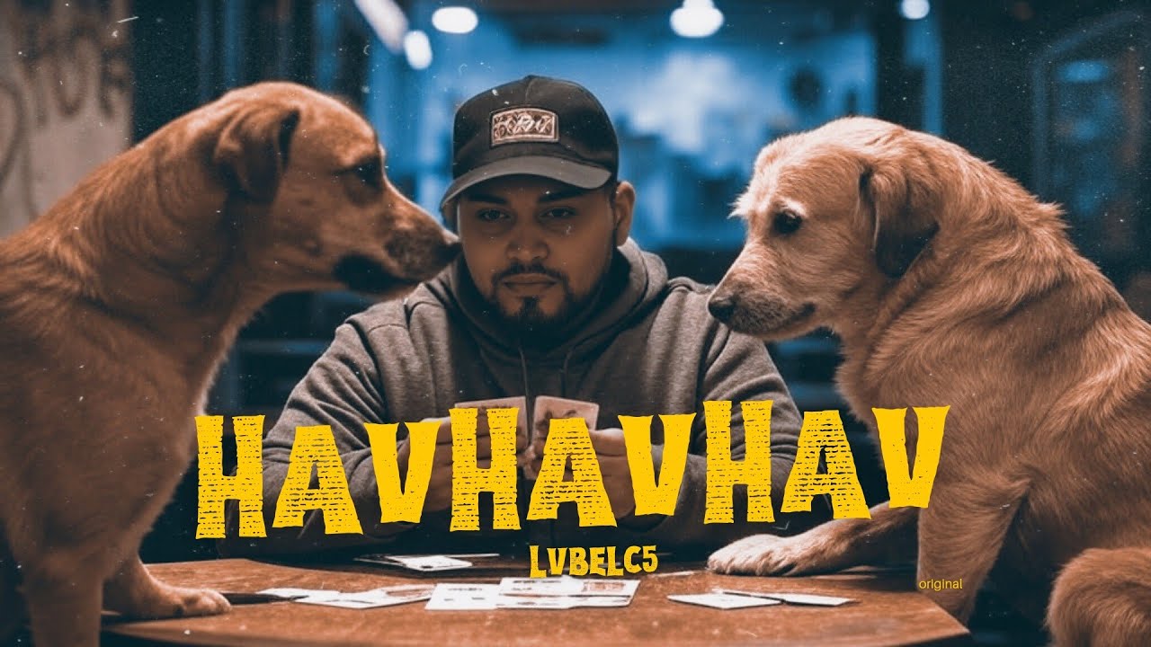 HAVHAVHAV