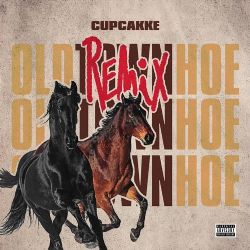 Lil Nas X Old Town Road