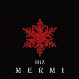 Mermi Buz