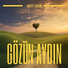 Mert Onur Gözün Aydın