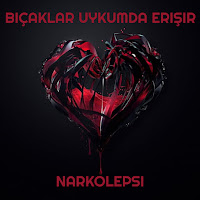 Narkolepsi Bıçaklar Uykumda Erişir