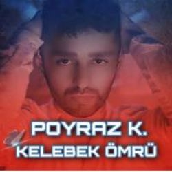 Poyraz K Kelebek Ömrü