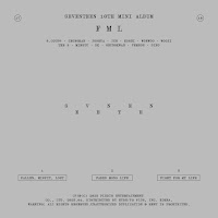 Seventeen FML