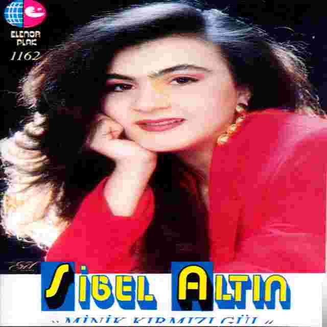 Sibel Altın Minik Kırmızıgül