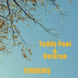 Teddy Pool Terkediş