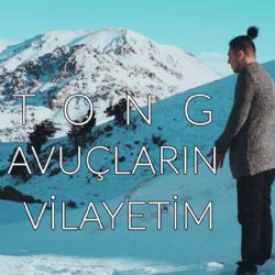 Tong Avuçların Vilayetim