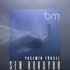 Yasemin Yüksel Sen Kokuyor