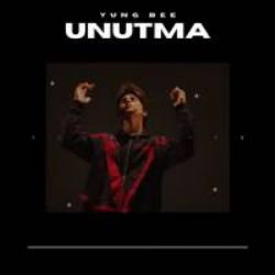Yung Bee Unutma