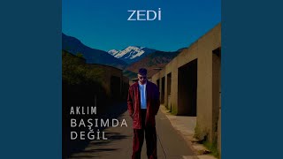Zedi Aklım Başımda Değil