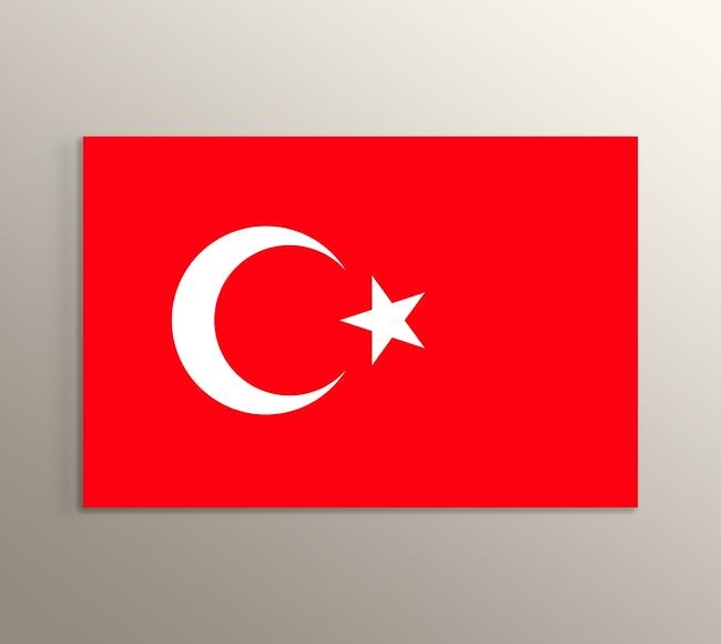 Zeynep Yılmaz Şanlıdır Ay Yıldızlı Bayrağımız